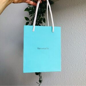 Tiffany & Co. Iconic Small Blue Shopping Bag